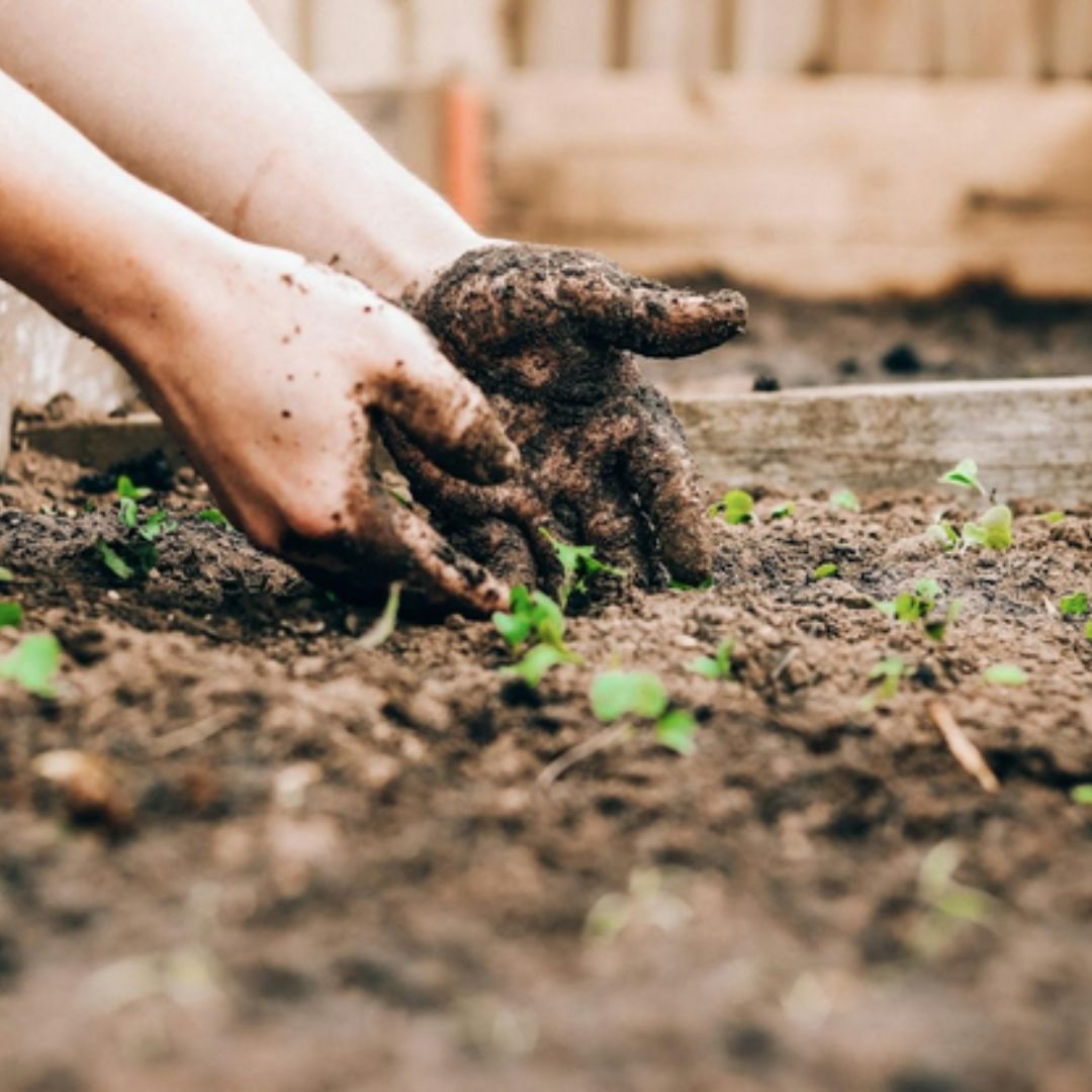 Top 6 High-Quality Gardening Tools Every Gardener Needs