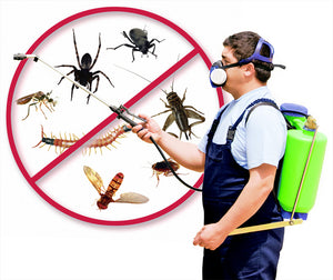 The Cost Of Pest Control
