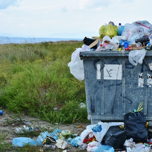 A Fresh Perspective on Waste Management: Insights and Innovations