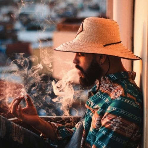 5 Best Ways To Invest In A CBD Company