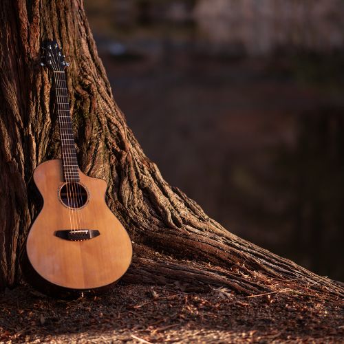 Acoustic Guitar