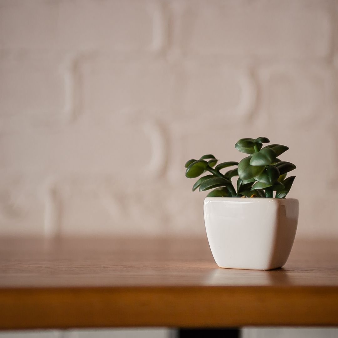 Artificial Plant Manufacturer and Injection Molding Suppliers A Compr LIFESTYLE BY PS