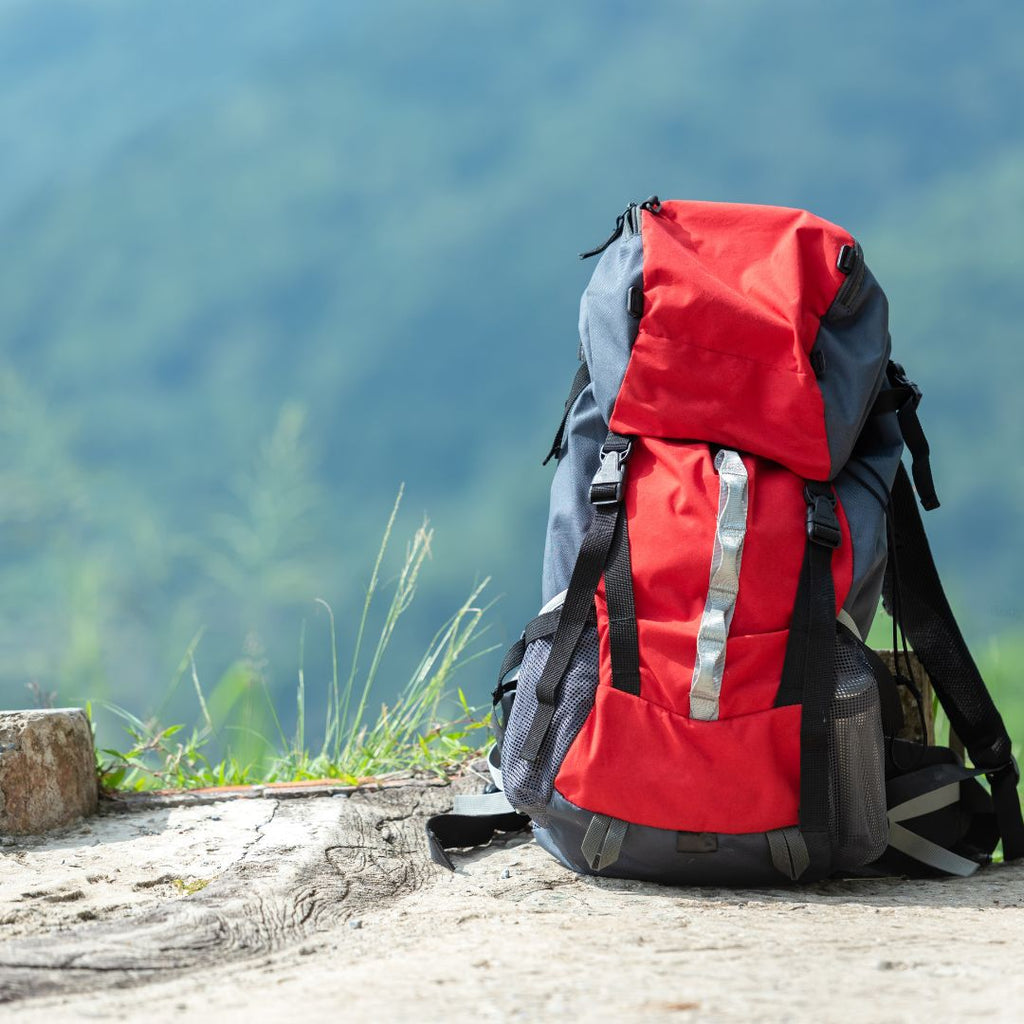 Backpack for Travel