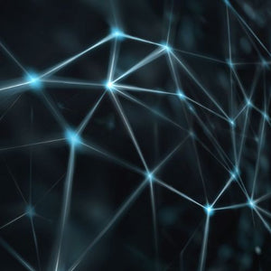 The Basics of Blockchain: What You Need to Know