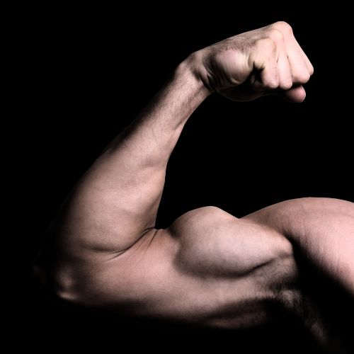 Shredded Arms