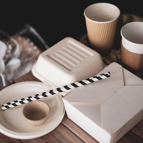 Why Biodegradable Packaging Is One Of The Best Options For Your Restaurant Takeaways