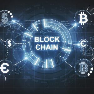Elrond: A High-Throughput Blockchain for Scalable Applications