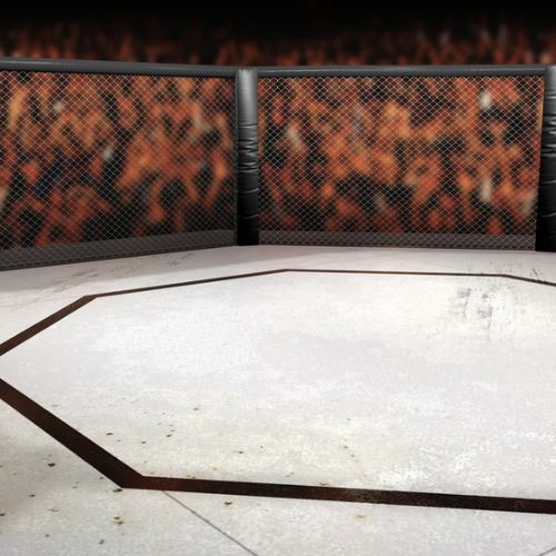 4 Tips and Tricks for Buying UFC Tickets - LIFESTYLE BY PS