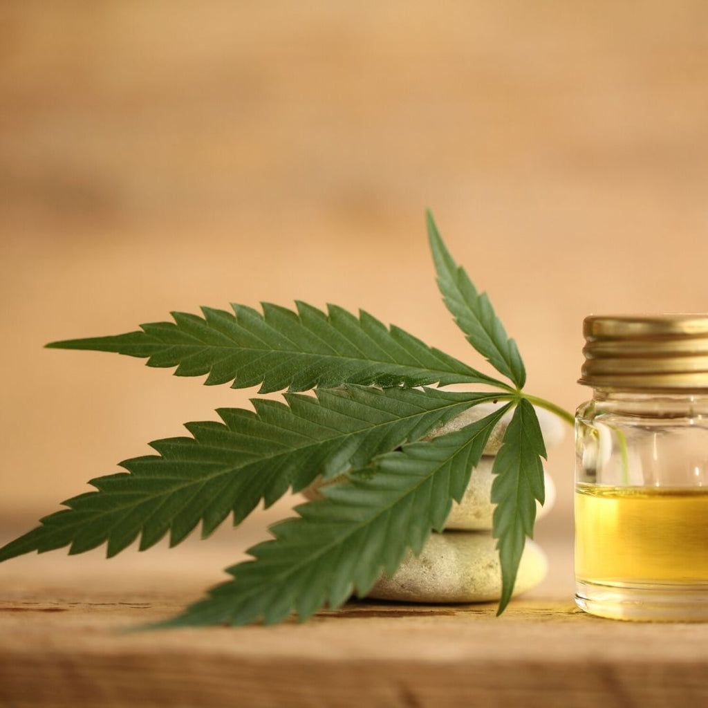 CBD Oil's Benefits For Skin