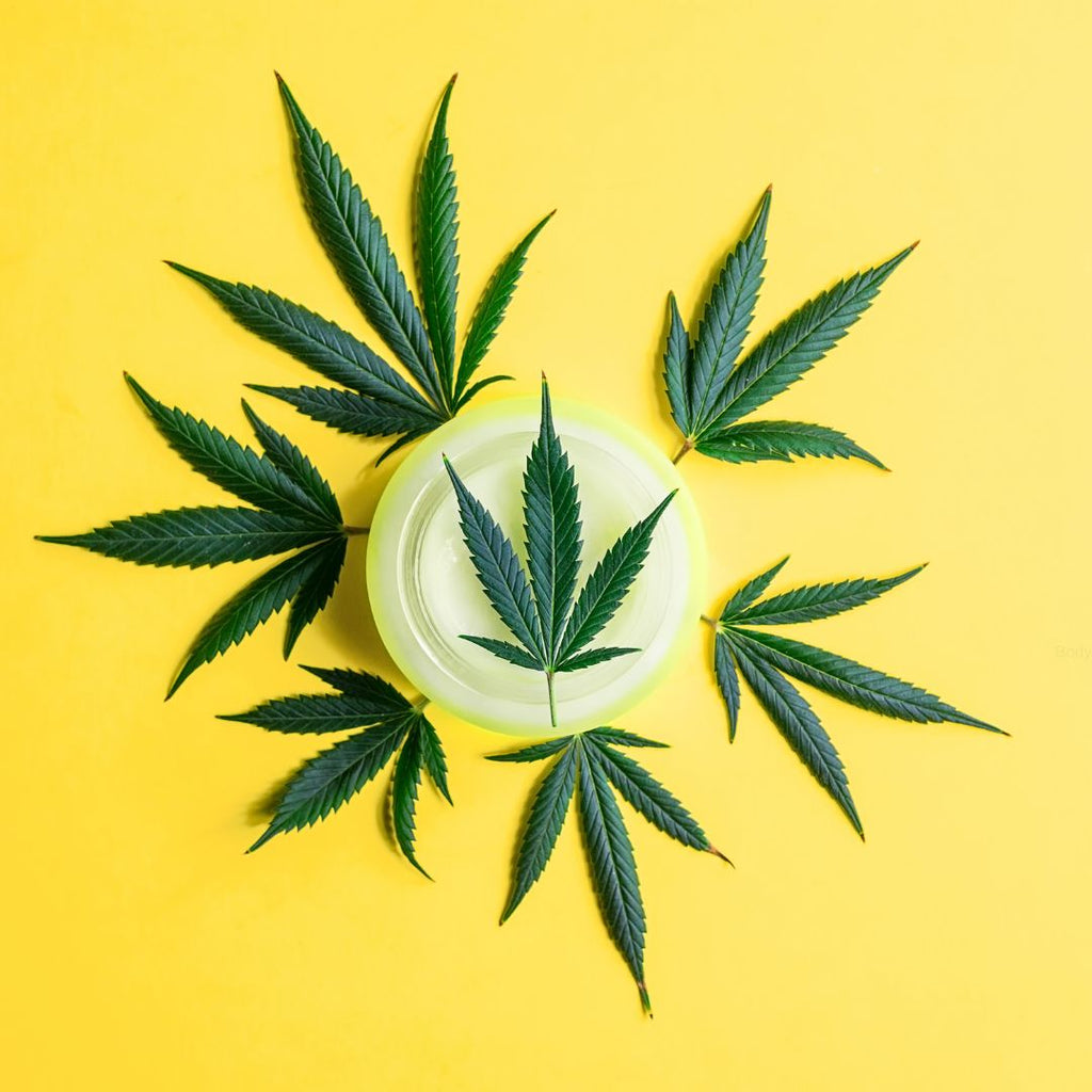 CBD Balm