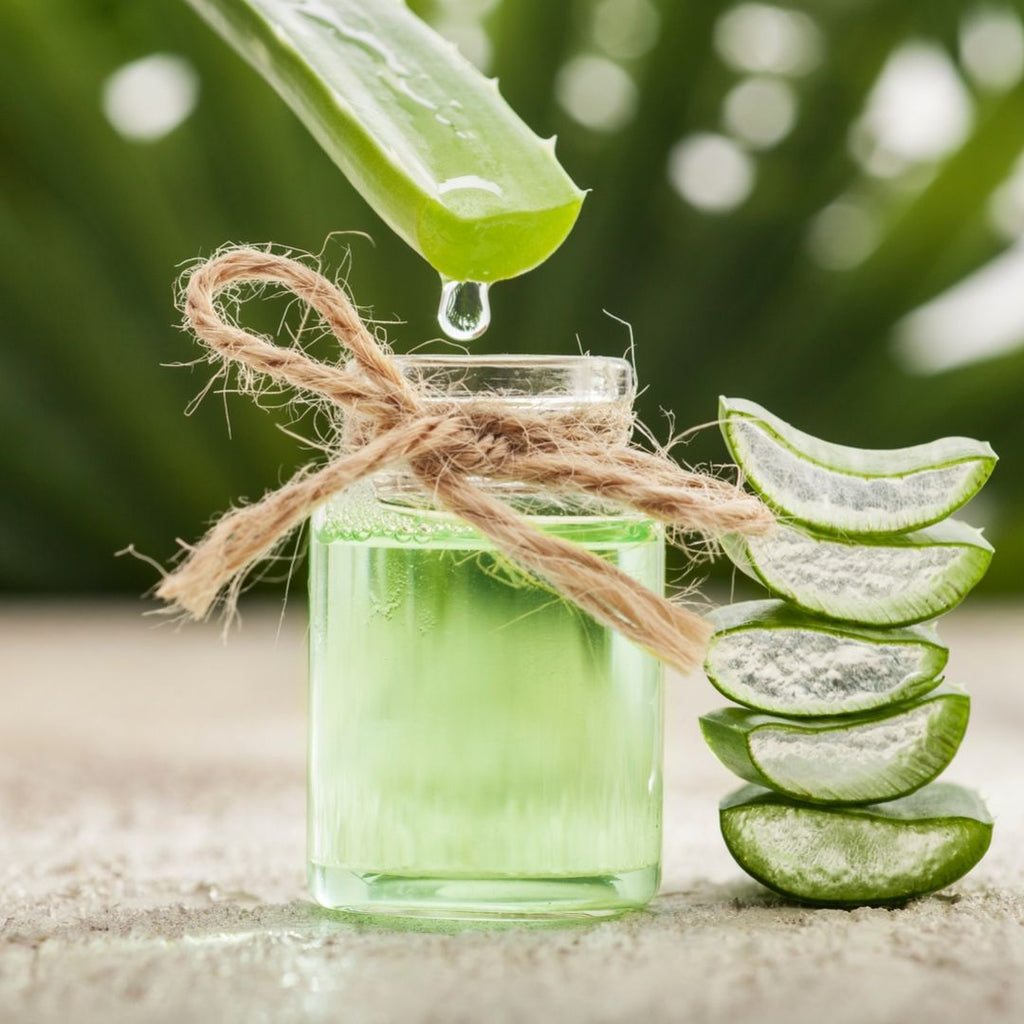 10 Benefits of Aloe Vera That’ll Make You Use It More