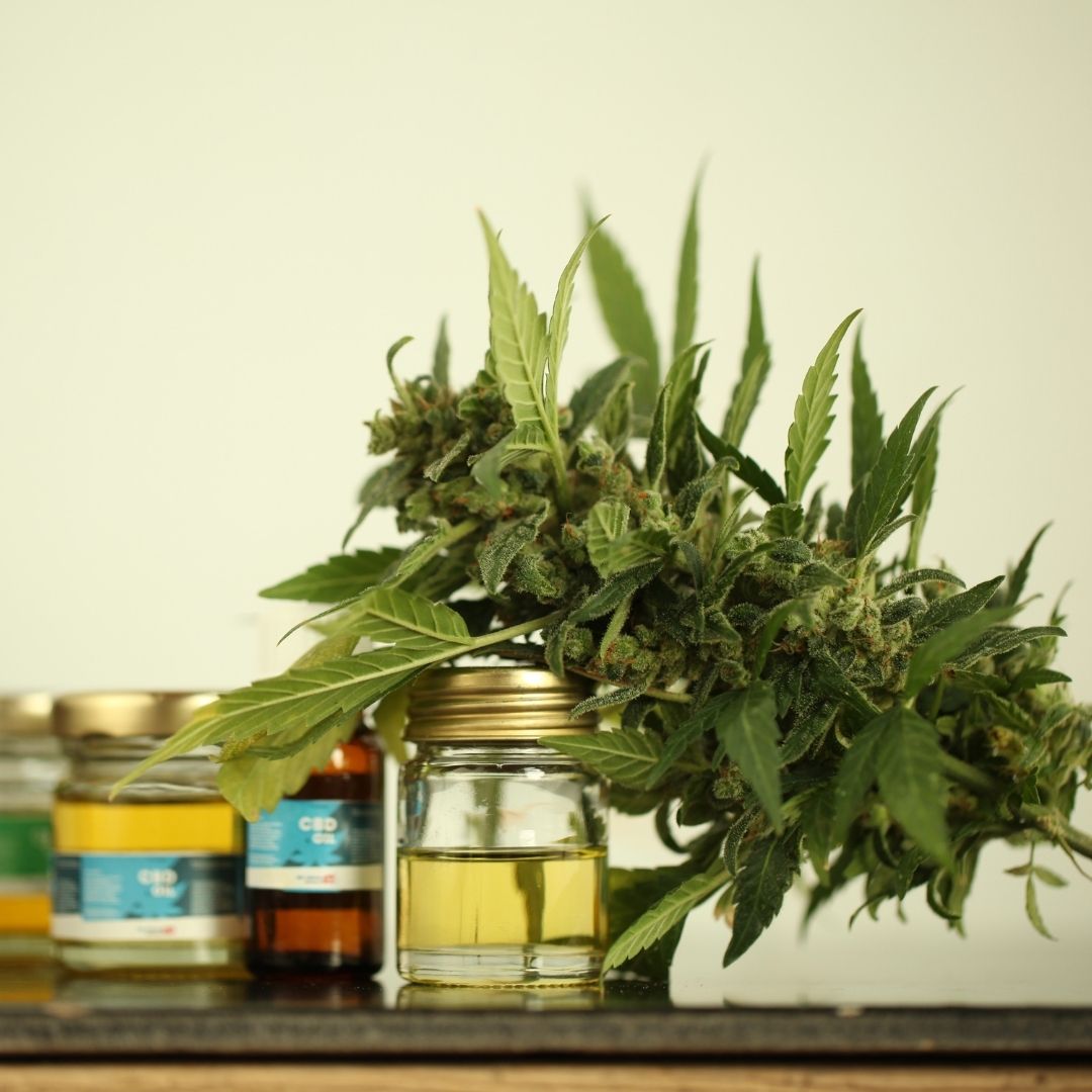 Improve Your Life's Quality — A Beginner's Guide to CBD Products