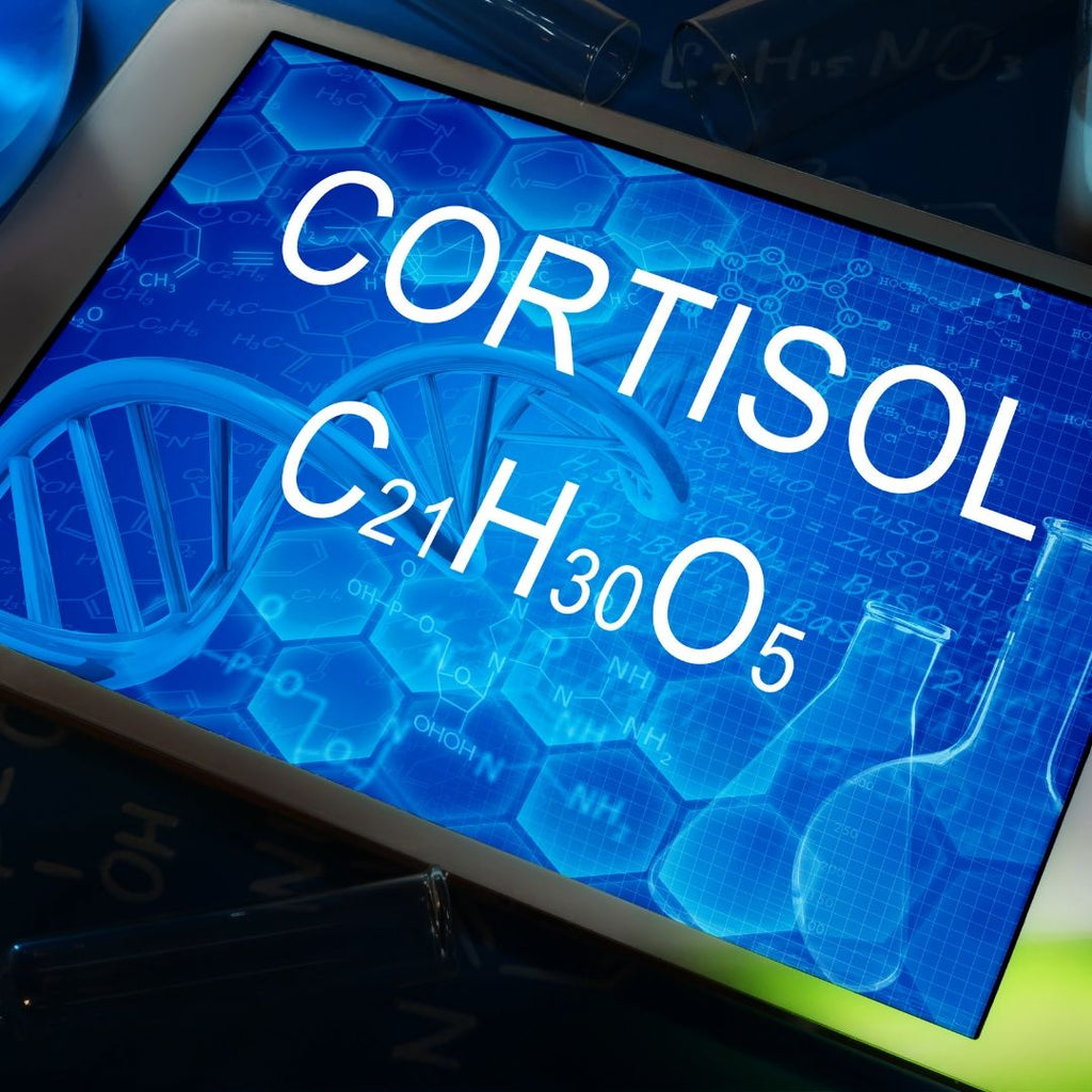 Cortisol 
