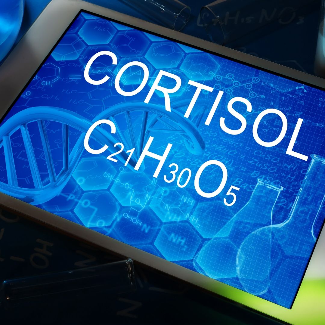 Cortisol 