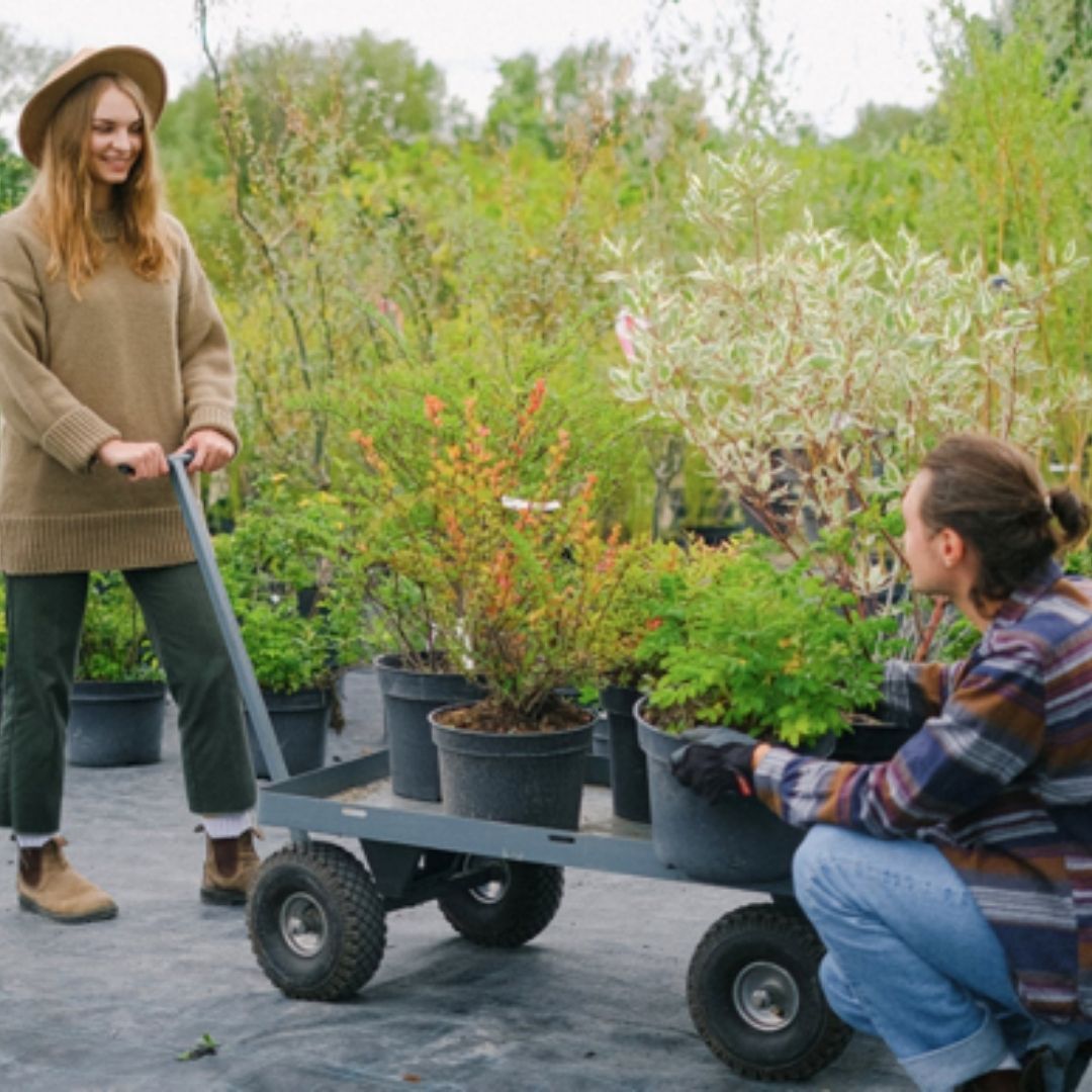 DIY Guide: Turn 10 Common Household Items Into Planters