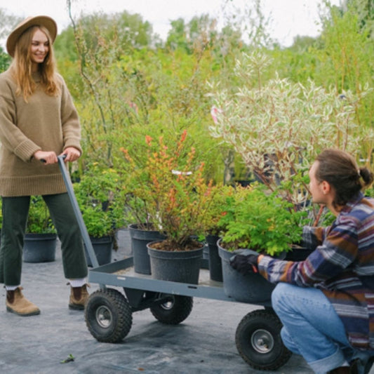 DIY Guide: Turn 10 Common Household Items Into Planters
