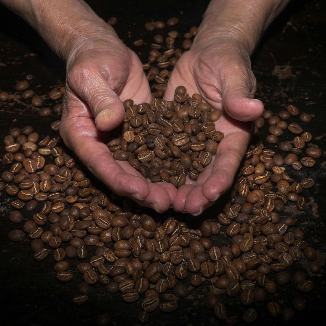 Dark Roast Coffee
