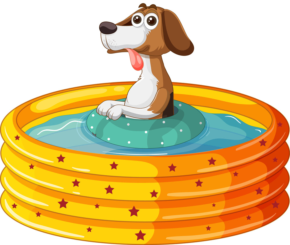 Pups Play in the Pool: Pool Floats for Man’s Best Friend