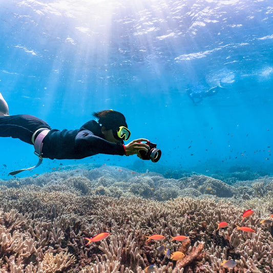 Dive Sites