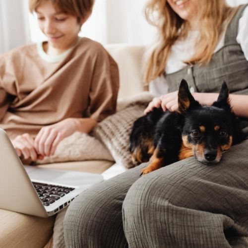 Dogs Show Affection To Humans 