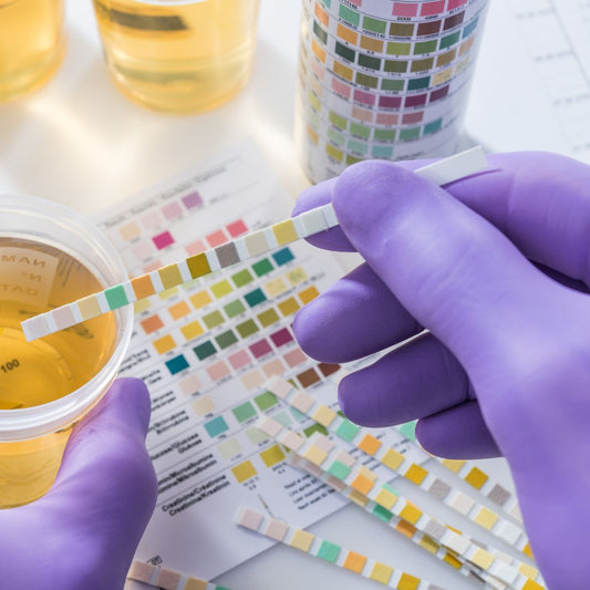 Drug Testing