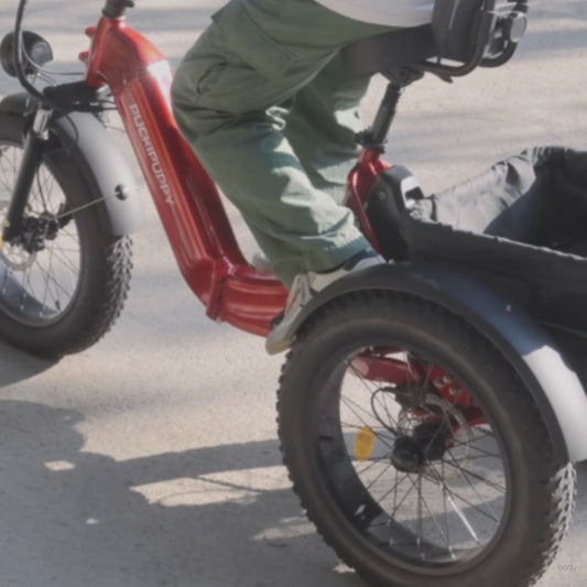 E-Trike vs Traditional Tricycle