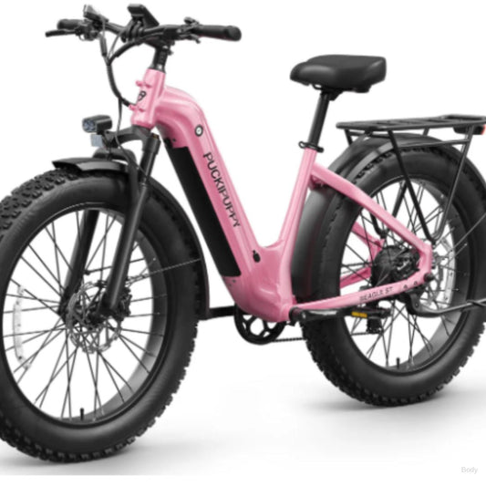 Ebike