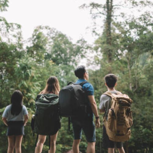 How to Gamify The Journey To an Eco-Friendly Lifestyle?