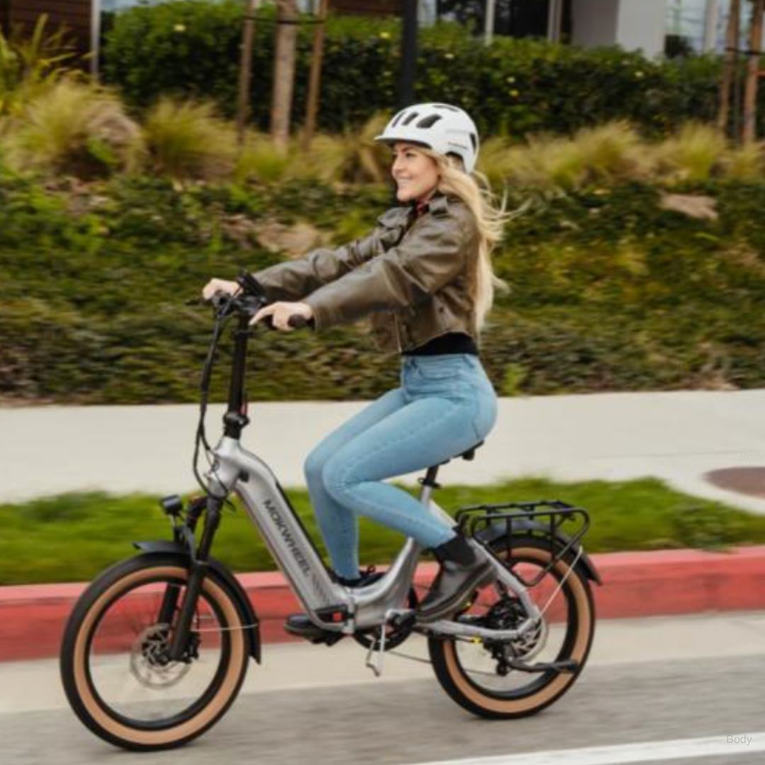 Electric Bikes 