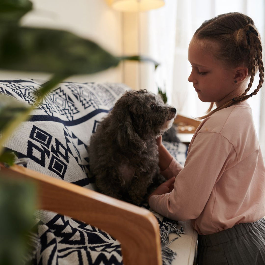 Emotional Support Animal