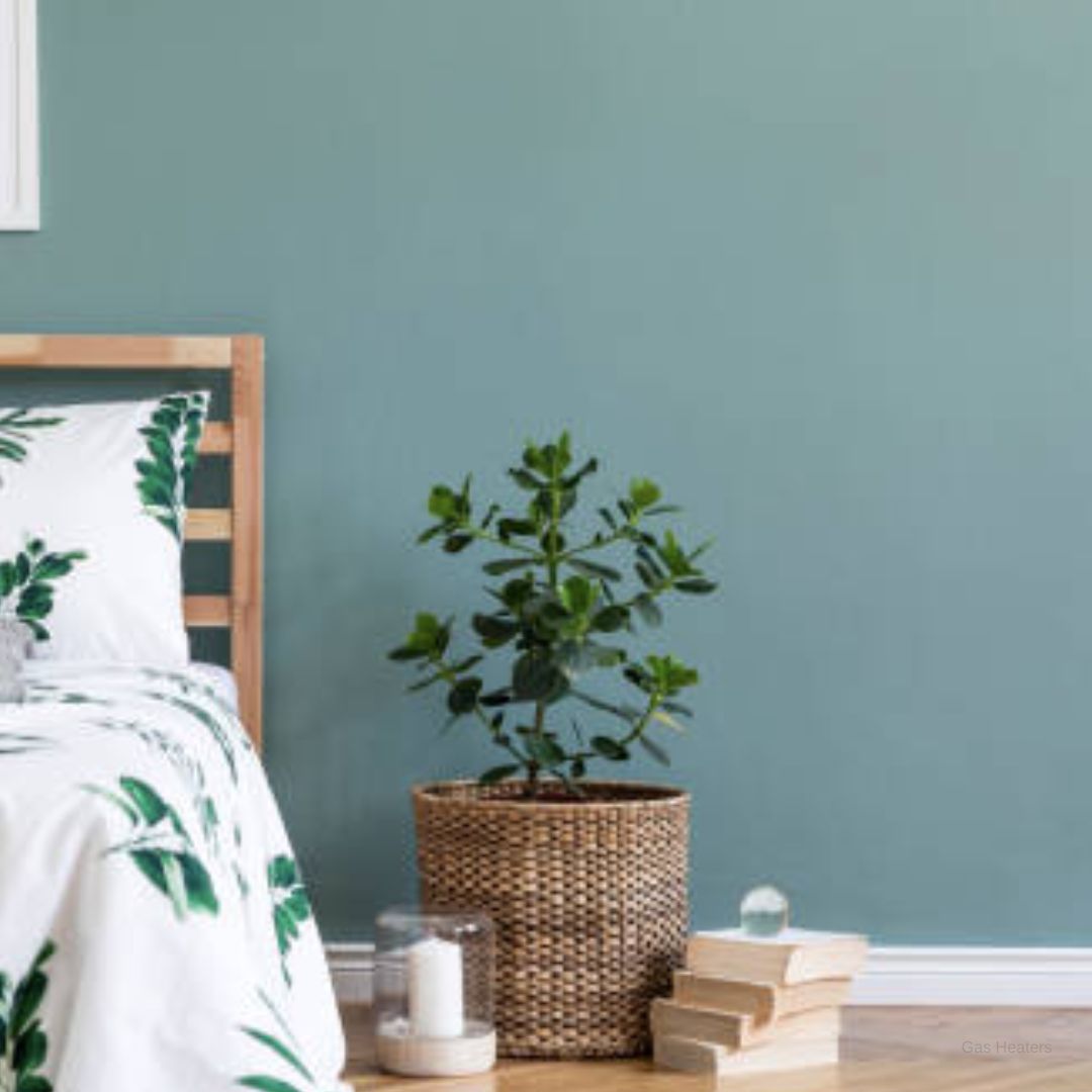 Eucalyptus Comfort