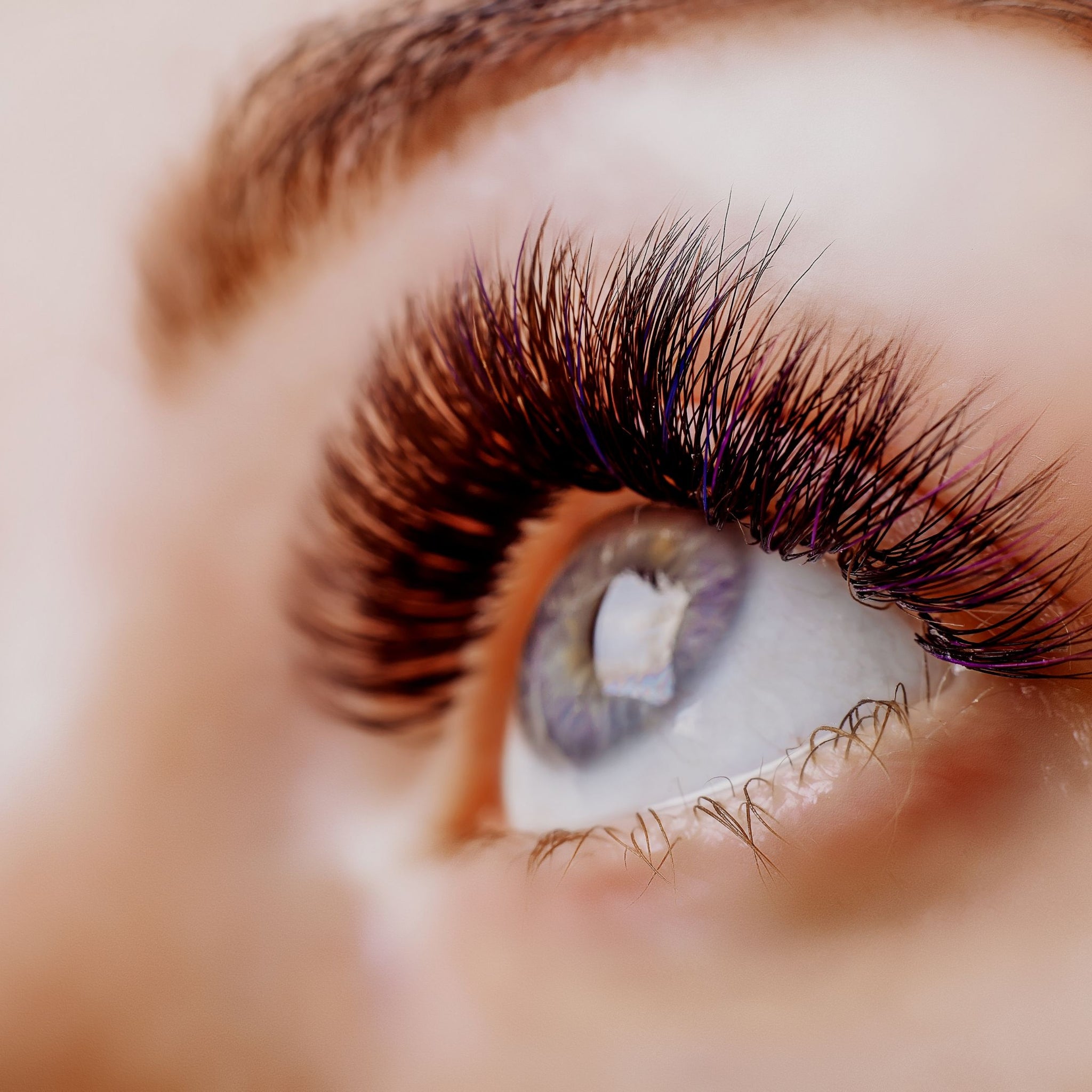 Everything You Need To Know About Your Eyelashes
