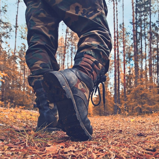 Clothes For Hiking In The Forest, Classification and Selection Criteria