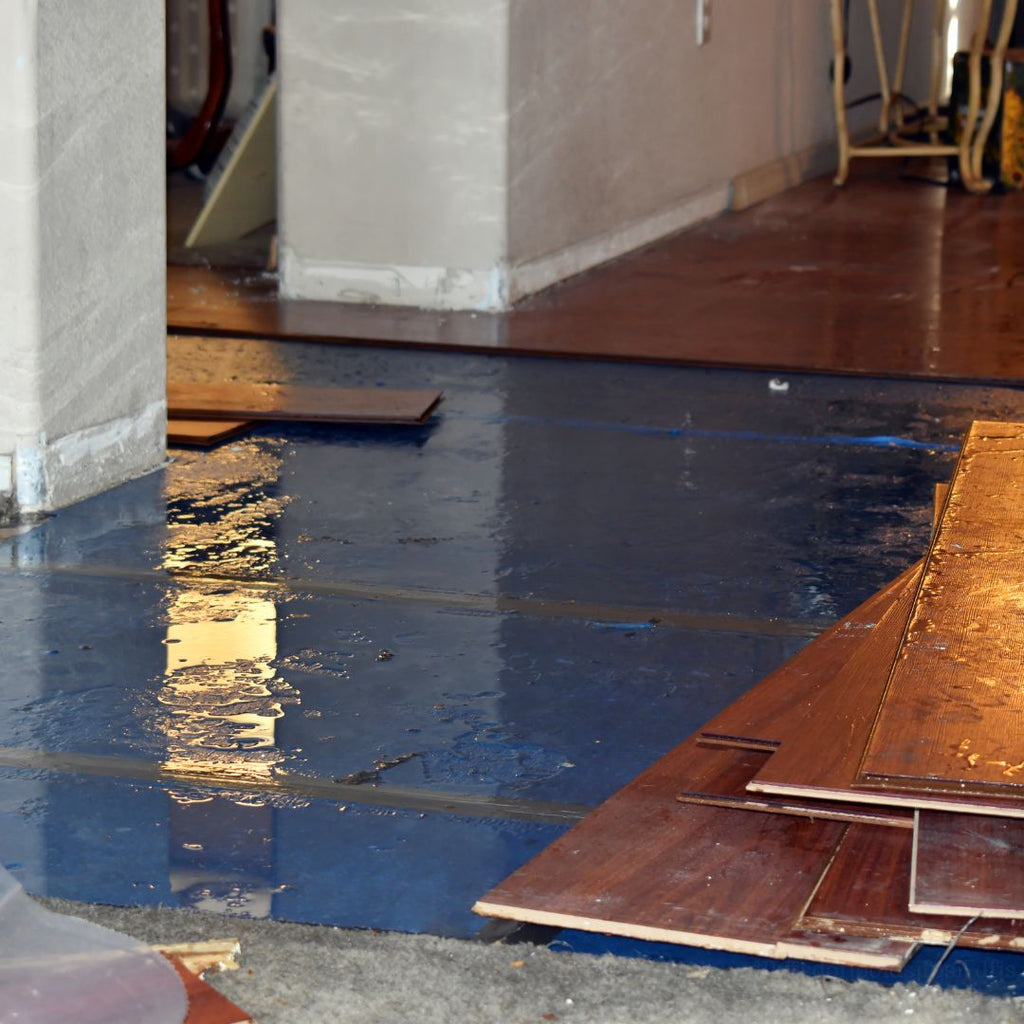 Effective Guide for Flood Damage Cleaning in Cheltenham