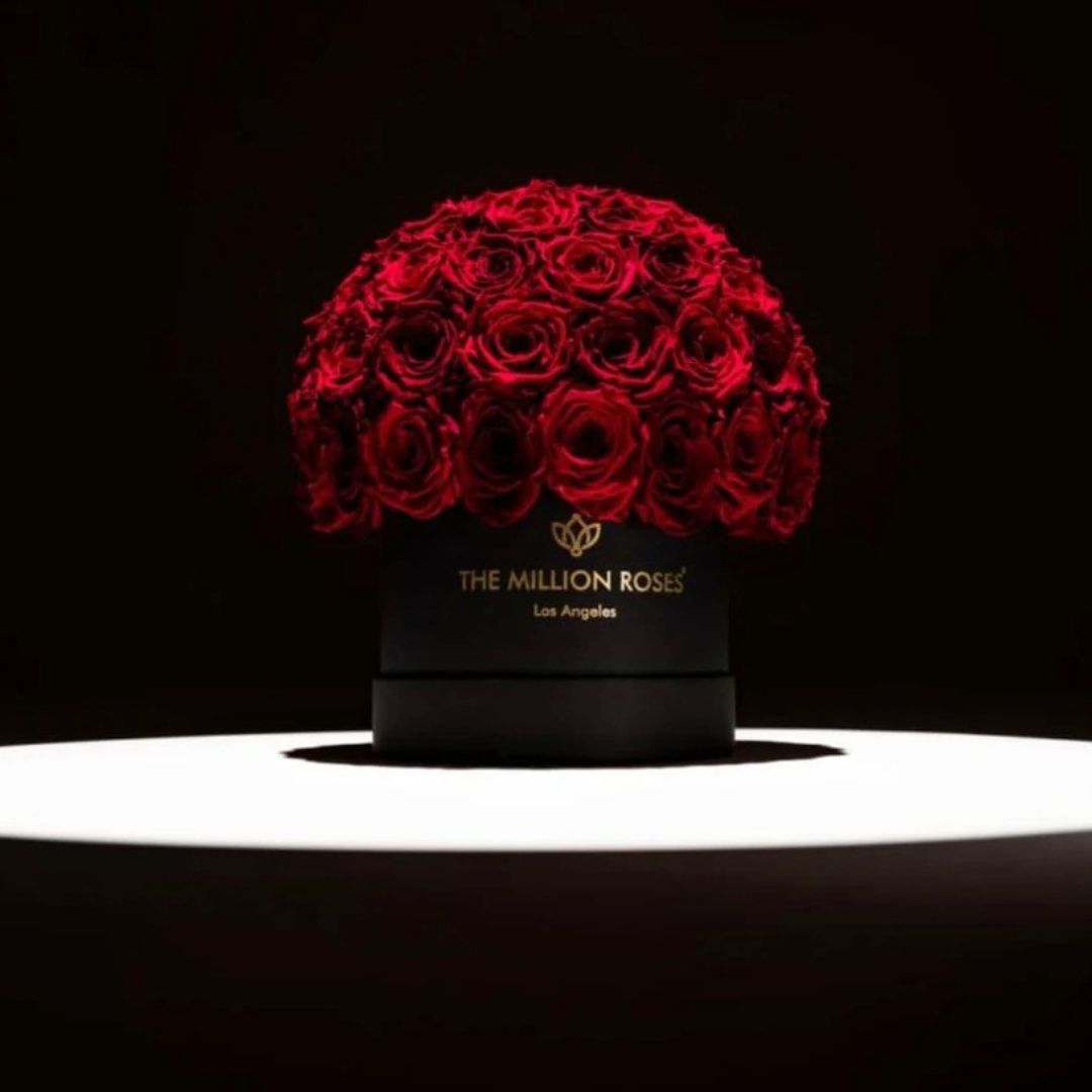 Forever Roses