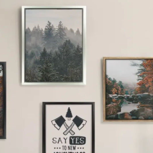 Framed Canvas Prints