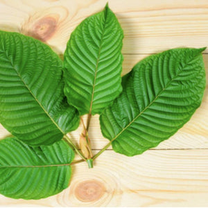 Health Benefits Of Using Kratom: A Complete Guide
