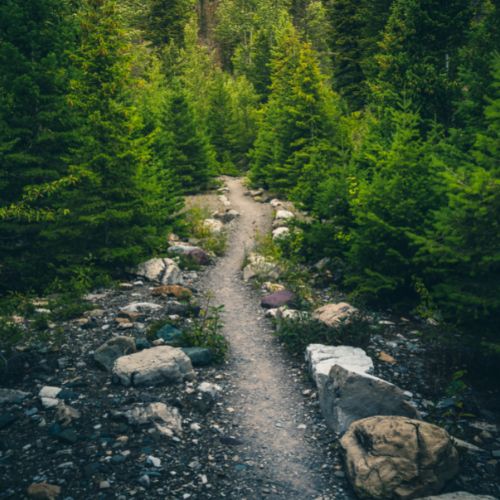 Hiking Trails