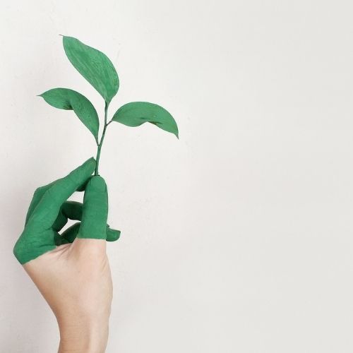 How to Lead an Eco-Friendly Lifestyle to Cope With Divorce