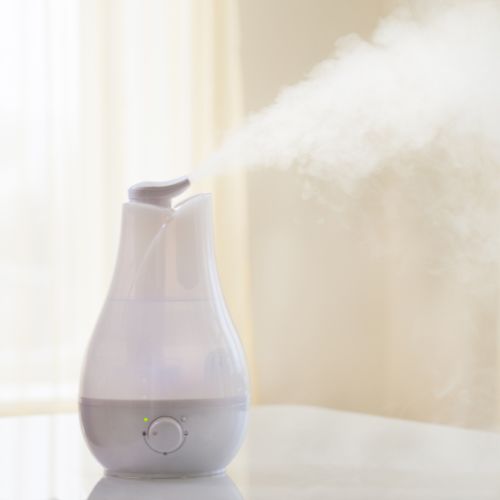 Humidifiers and Dehumidifiers