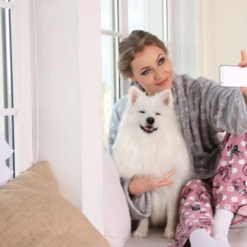 Best Instagram Friendly Photos Of Your Dog