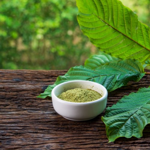 Kratom Alkaloid Synthesis