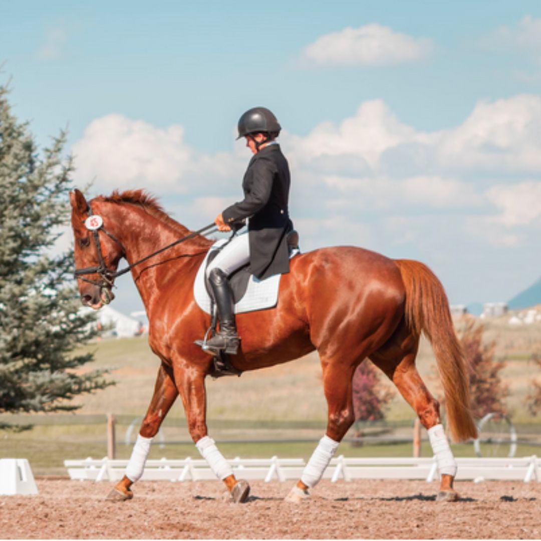 Luxurious Riding Breeches 