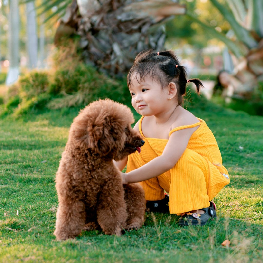 Make Dog Ownership Work