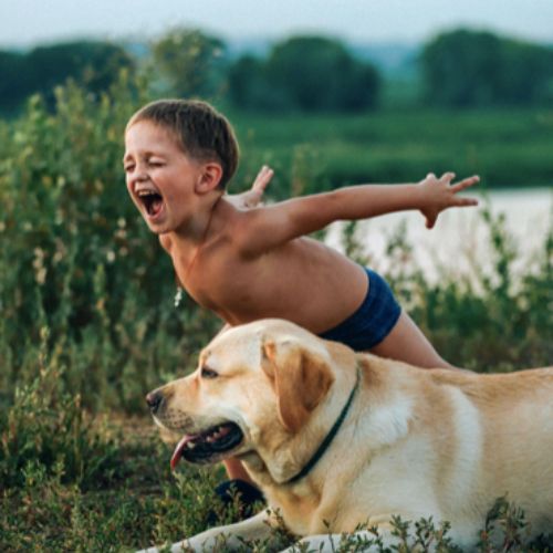 Expert Tips To Make Your Outdoor Space Safe for Kids & Pets