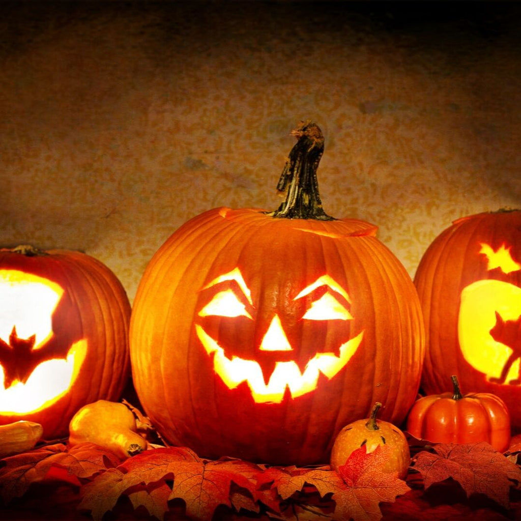 Make your Halloween Special with Special Effect Halloween Contact Lenses