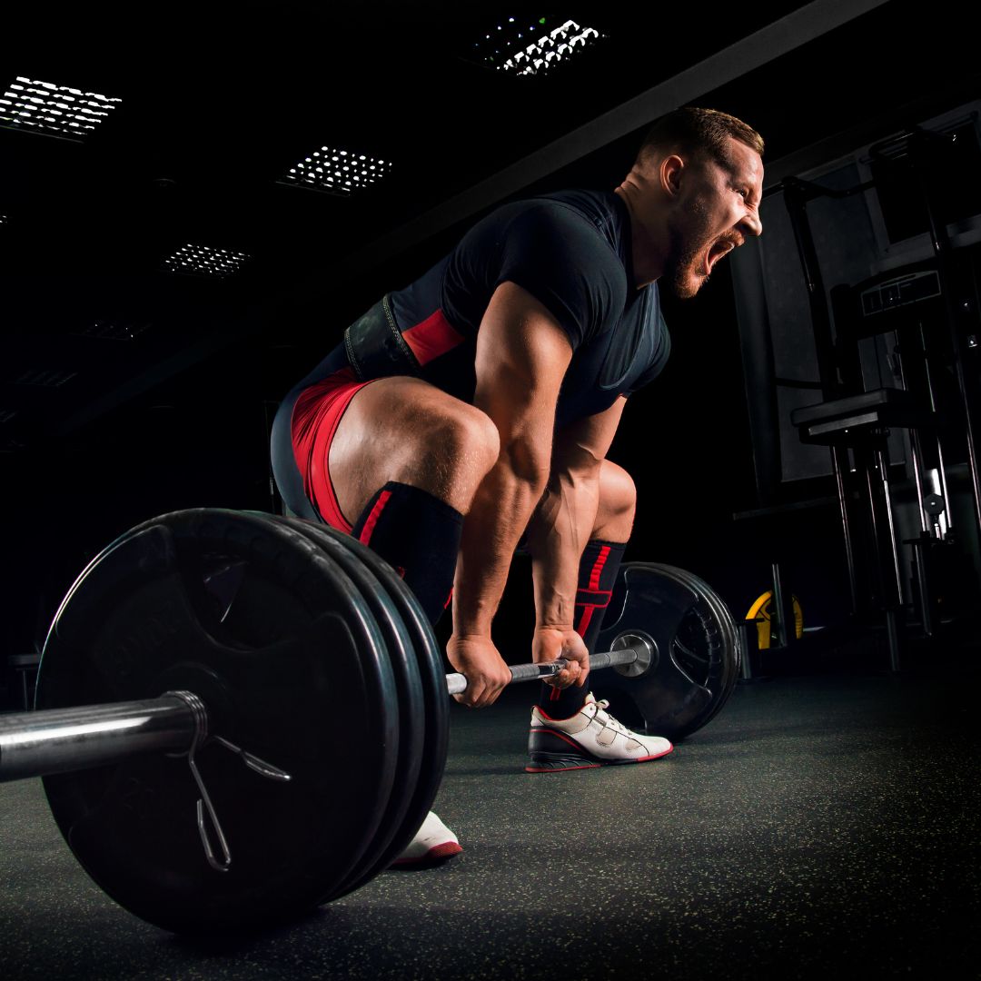 Unleashing Your Muscle Power: The Ultimate Guide to Maximizing Muscle Performance