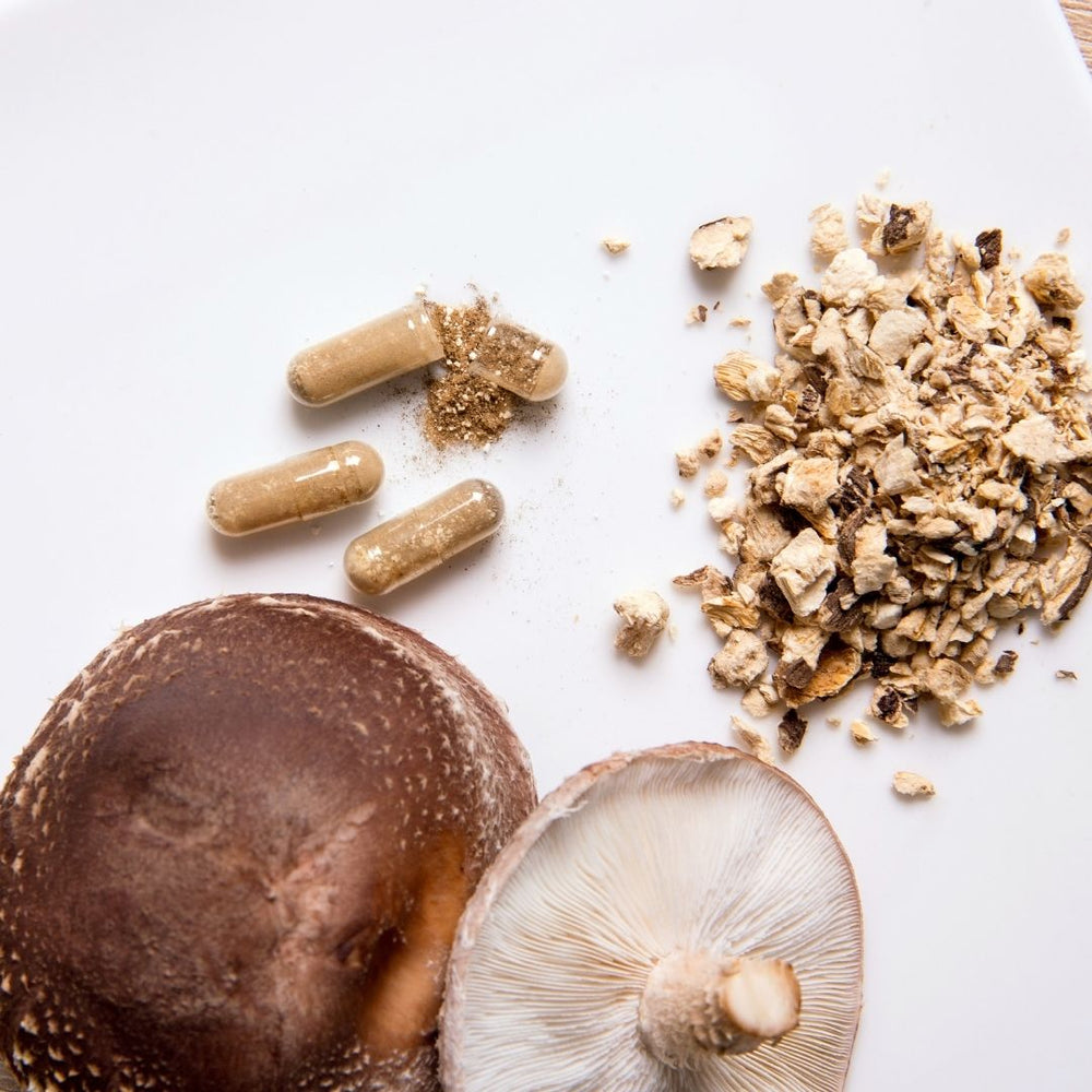4 Factors To Consider In Your Purchase of Mushroom Supplements