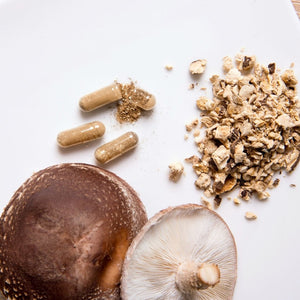 4 Factors To Consider In Your Purchase of Mushroom Supplements