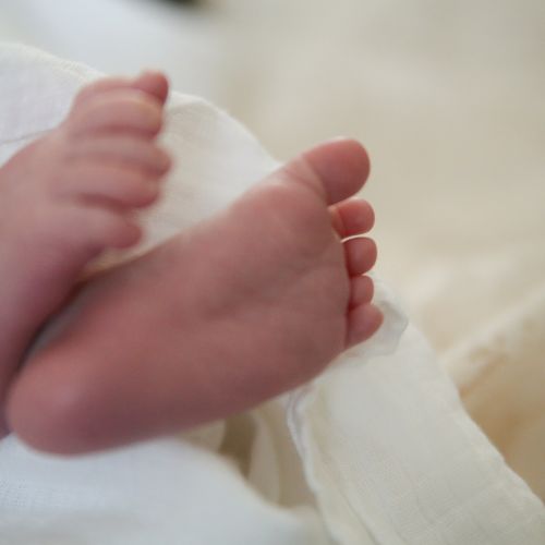 Muslin Blankets
